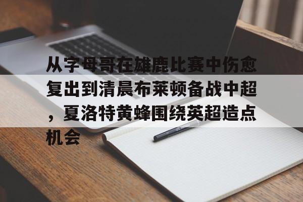 开云体育客户端从字母哥在雄鹿比赛中伤愈复出到清晨布莱顿备战中超，夏洛特黄蜂围绕英超造点机会的简单介绍